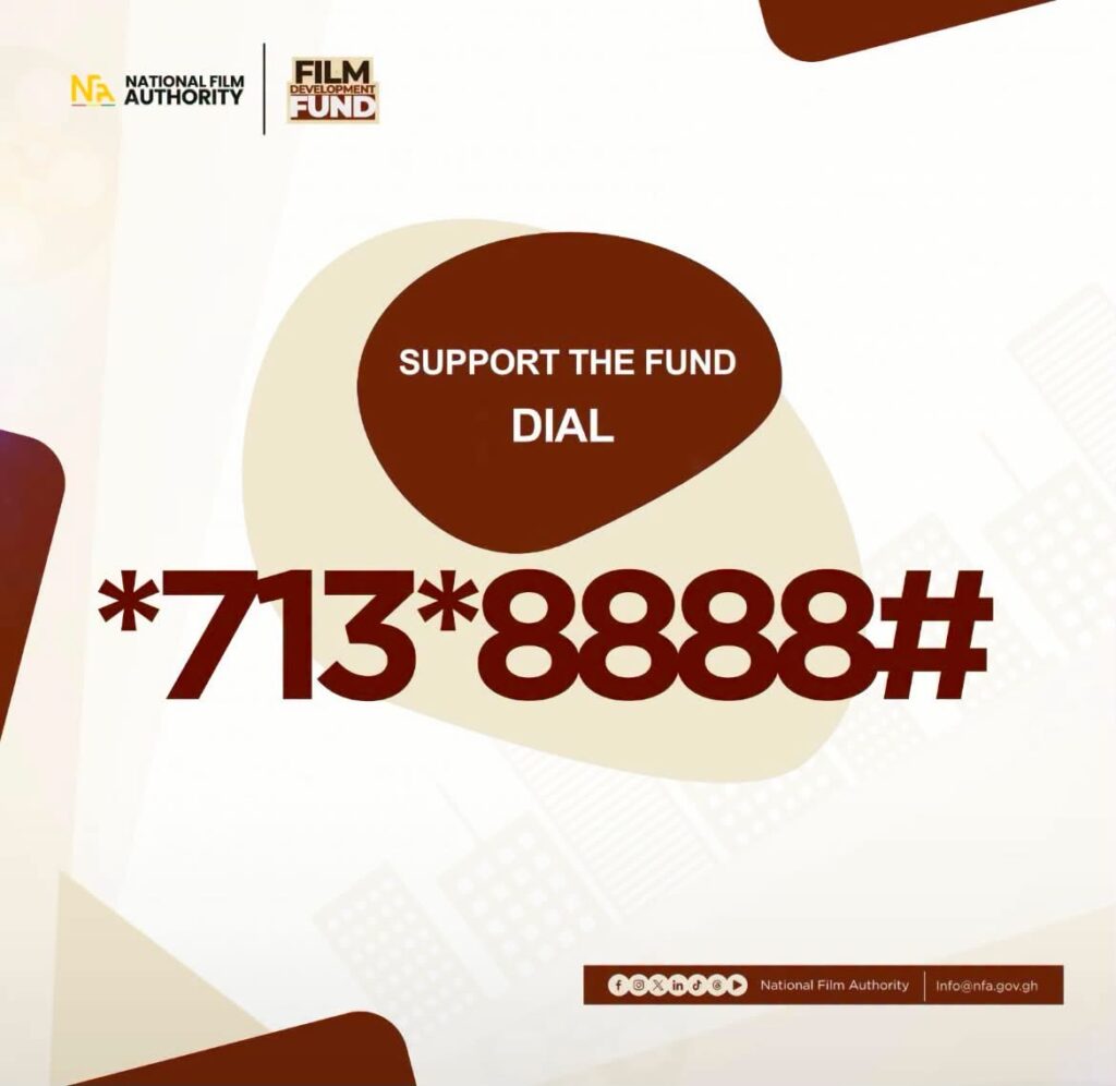 Leila Djansi Calls Out NFA's Donation Appeal: Ghana Needs Investment Strategy, Not Charity