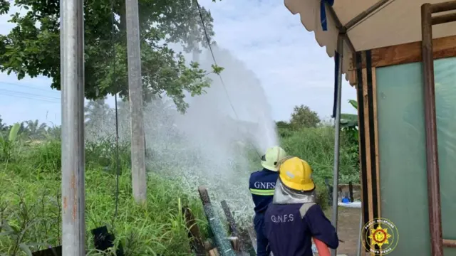 Fire Service removes aggressive bee colony from Volta school after student and teacher stung