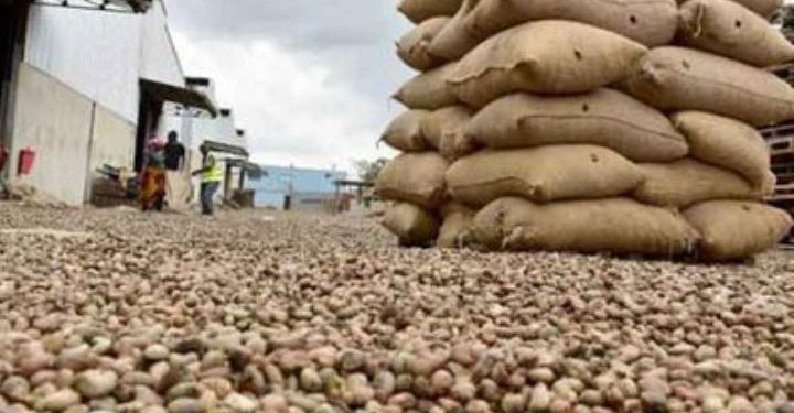Ghana Commodity Exchange pushes for mandatory foreign buyer trading rules to shield local farmers