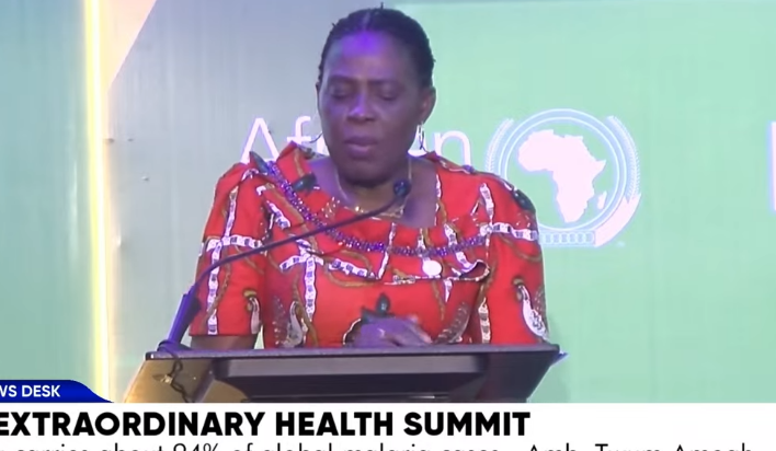 AU pushes diversified health financing as key to Africa's development agenda