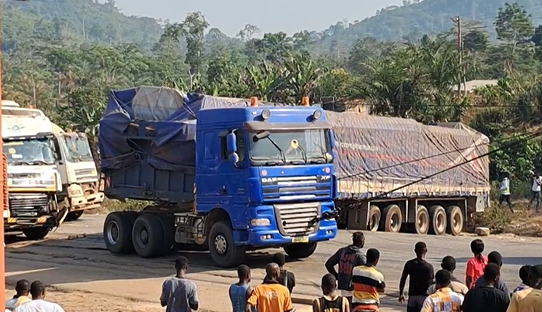 Parliament urged to criminalise illegal truck parking as highway safety crisis deepens