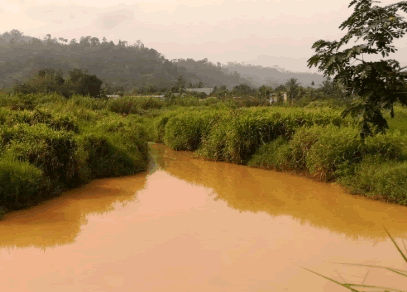 Ghana faces water import threat as 60% of water bodies become polluted, CSIR warns