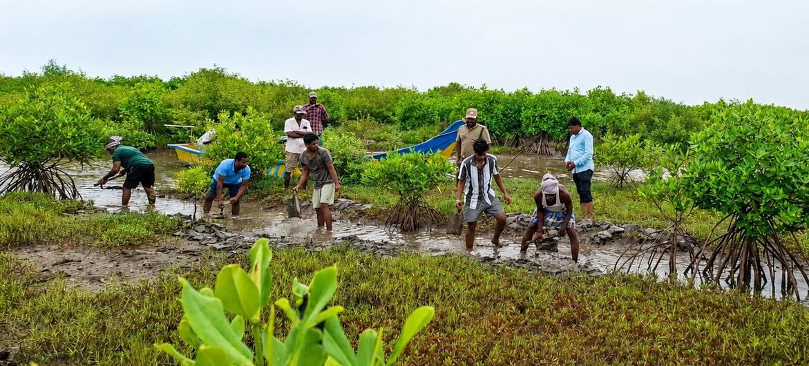 Africa losing species at alarming rate as UN calls for urgent biodiversity action