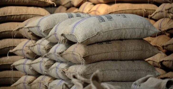 Ghana's cocoa export puzzle: why ranking fourth in Europe hides a bigger problem