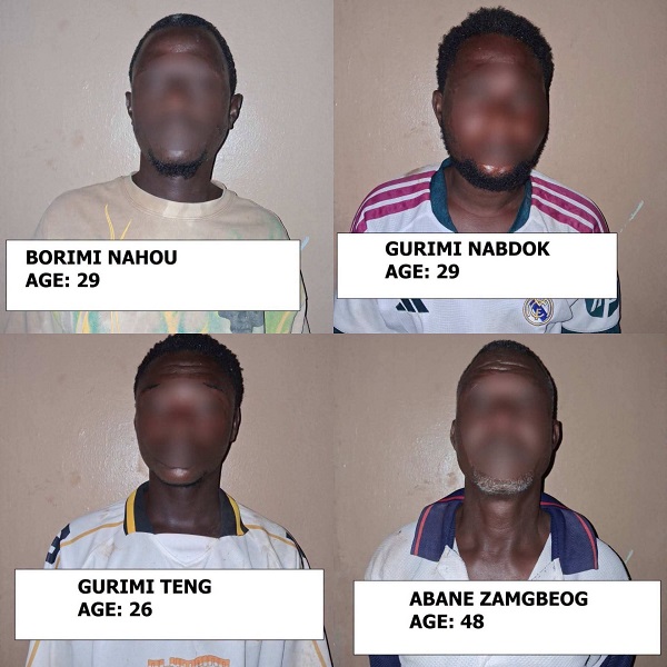 Upper East Police Bust Major Drug Ring: 14 Arrested in Daliga Operation