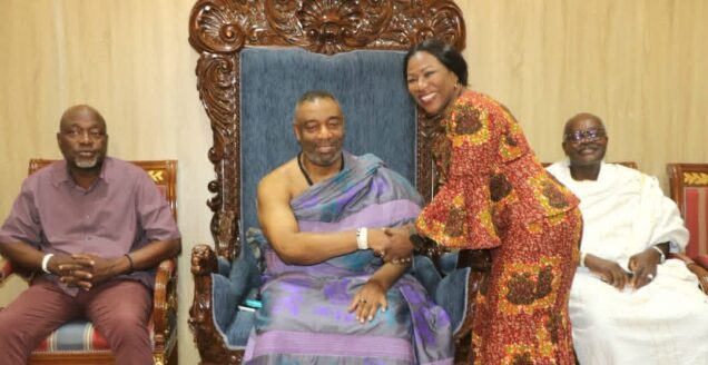 Ghana's War on Maternal Deaths: What Mahama's New Plan Means for Mothers