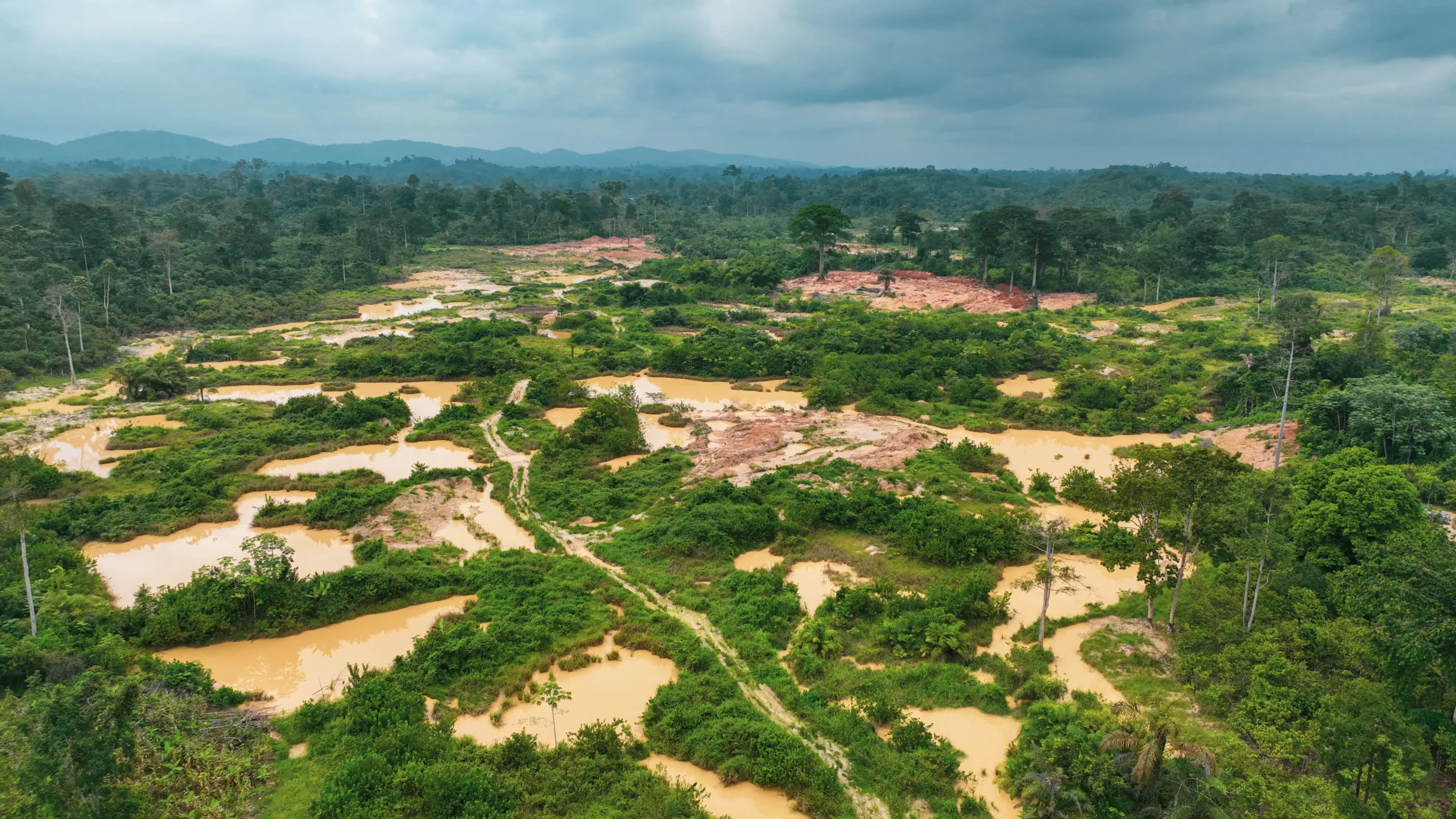Galamsey surge threatens to undo Ghana's hard-won forest victories, warns investigative journalist