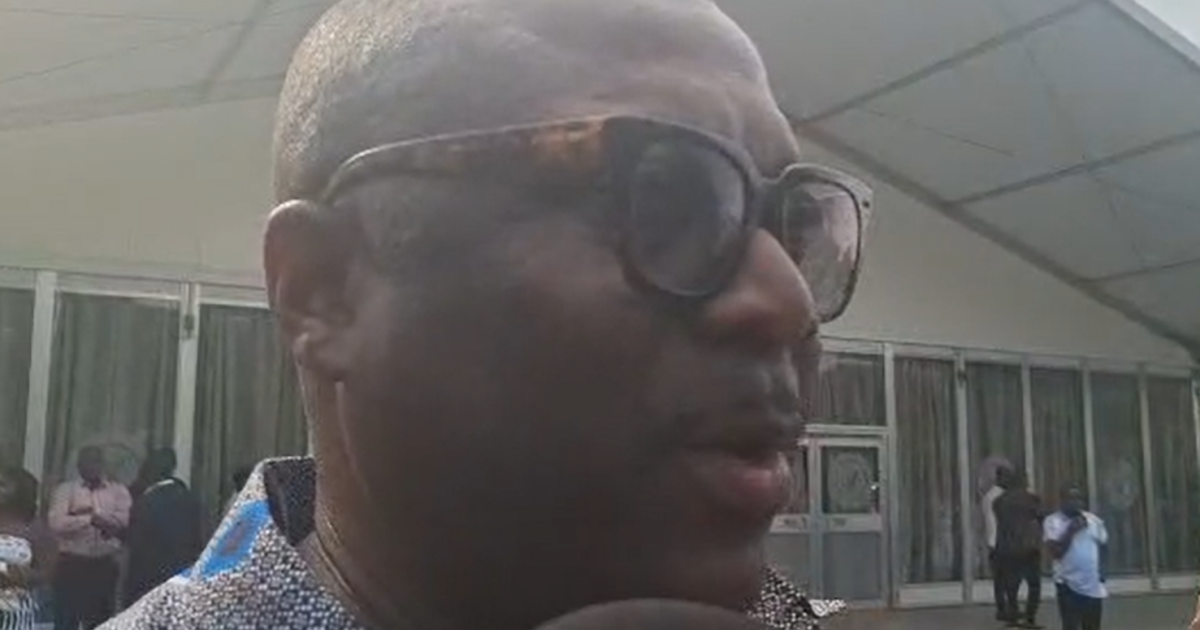 NPP opens doors to diaspora voters with proxy voting approval for October 3 officer elections