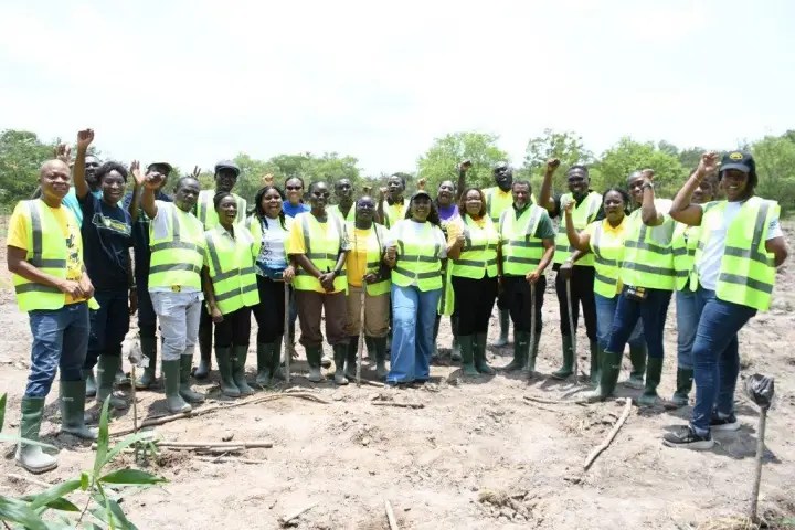 MTN Ghana Plants 1,666 Trees at Chipa Forest Reserve in Major Environmental Push