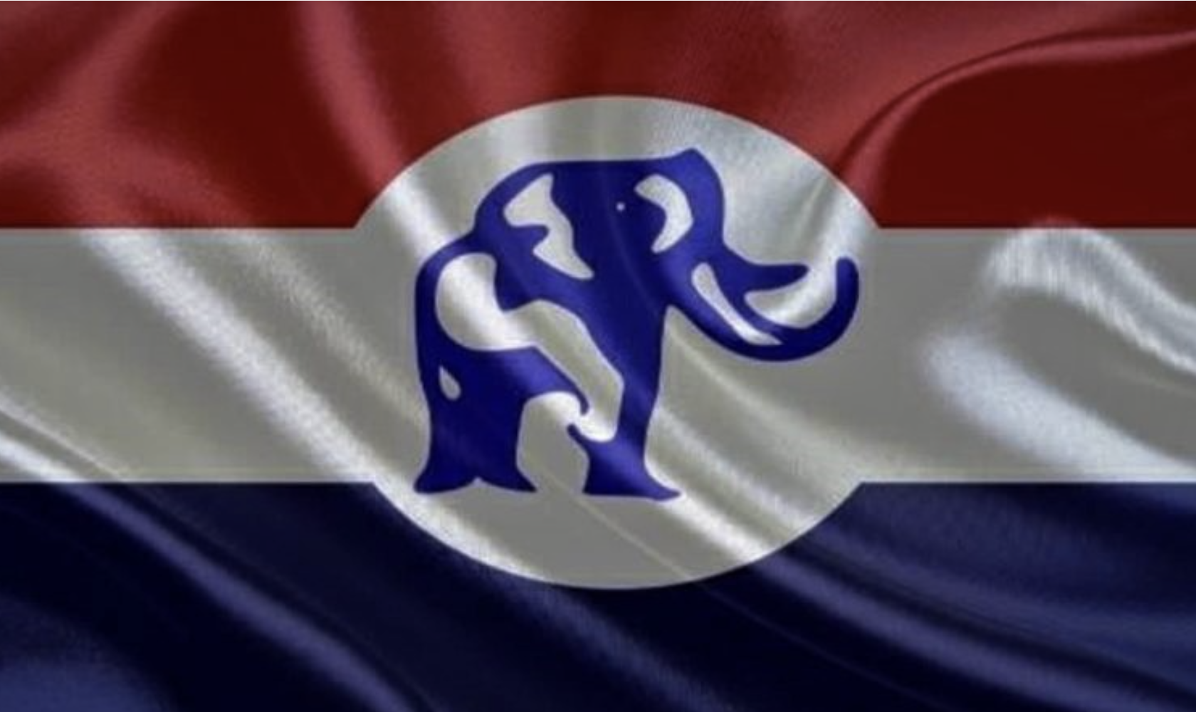 NPP clears air on delegates register ahead of crucial October 3 national officers election