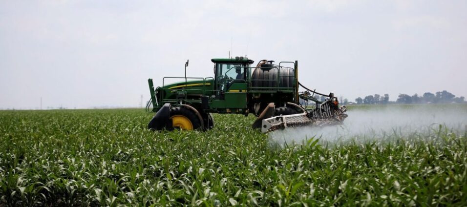 Ghana must pivot back to agriculture to solve youth joblessness, IEA economist warns
