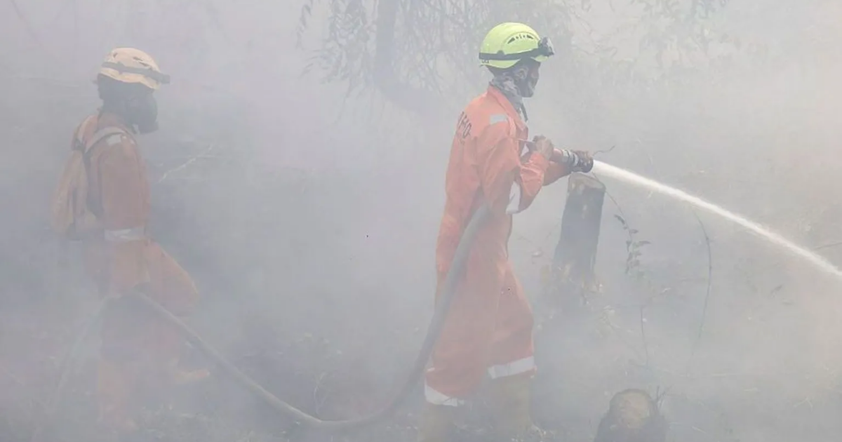 Indonesia's wildfire crisis: 175,000 respiratory cases and lessons for West Africa's dry season