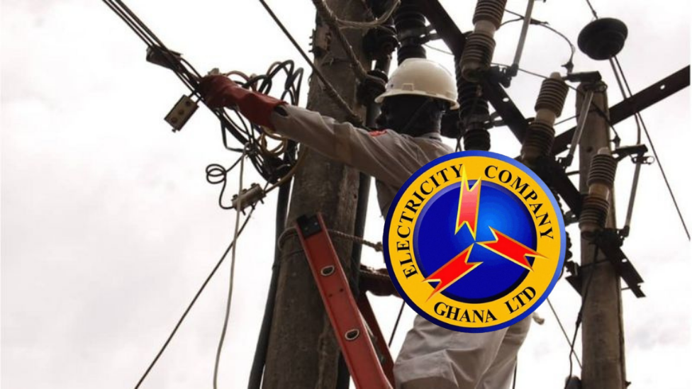 ECG Privatisation Plan Needs Wider Stakeholder Input – Minority MP