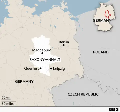 Germany's Far-Right AfD Surges to Record State Victory, Raising Questions About Europe's Political Shift