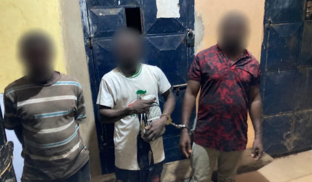 5,000+ Parcels of Suspected Drugs Seized in Major Oti Police Operation