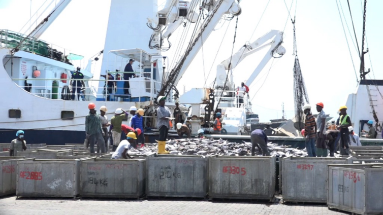 Complete Collapse of Ghana's Hook-and-Line Tuna Fleet Threatens Food Security and Jobs