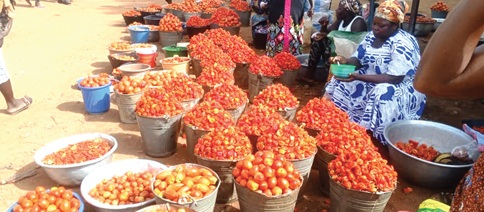 Upper East vegetable farmers battle price collapse as harvest glut floods Nabdam markets