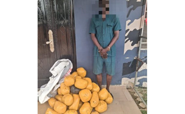 Upper East drug bust: Man arrested with 38 cannabis parcels and hidden tunnel at Paga residence
