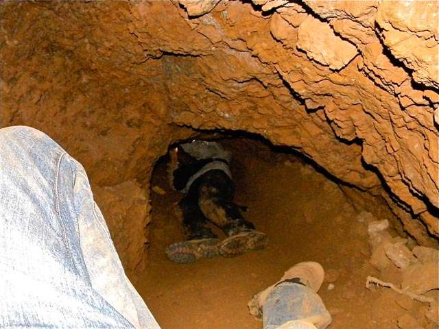 Two miners killed as illegal galamsey pit collapses in Western North; rescue efforts ongoing for missing person